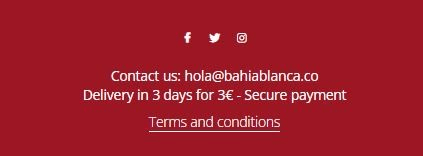 網站條款與條件 網站條款與條件